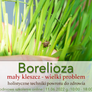 Borelioza